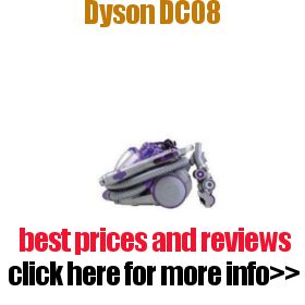 Dyson DC08